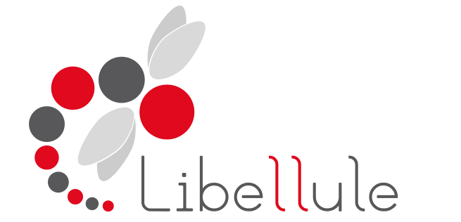 Libellule 